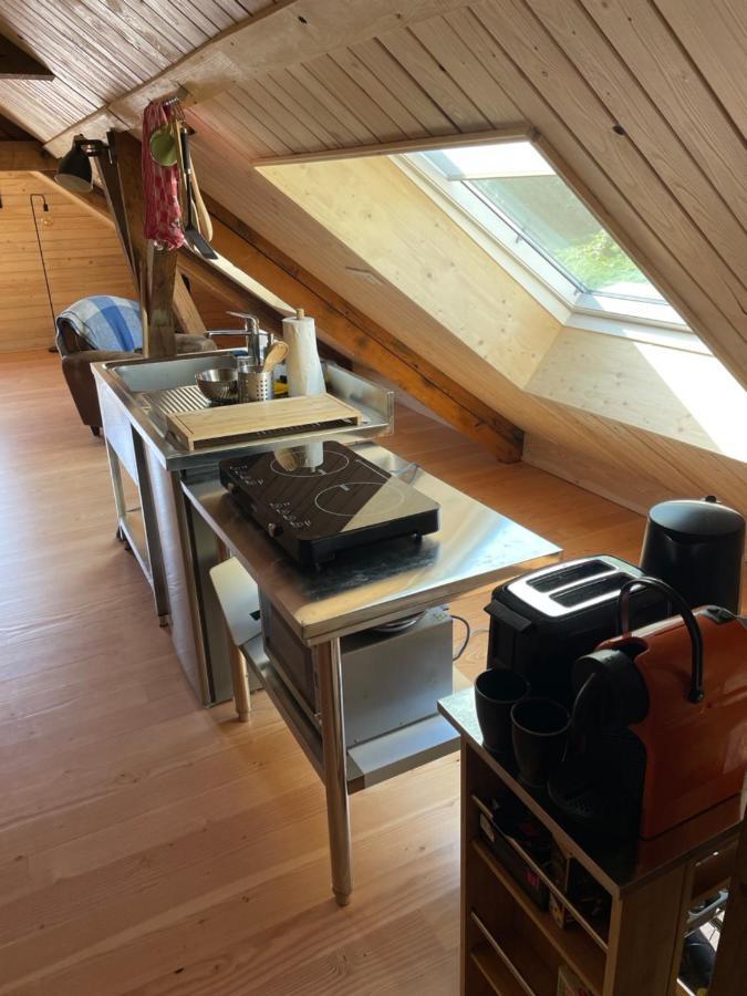 Mon Refuge En Vasgovie Apartman Meisenthal Kültér fotó