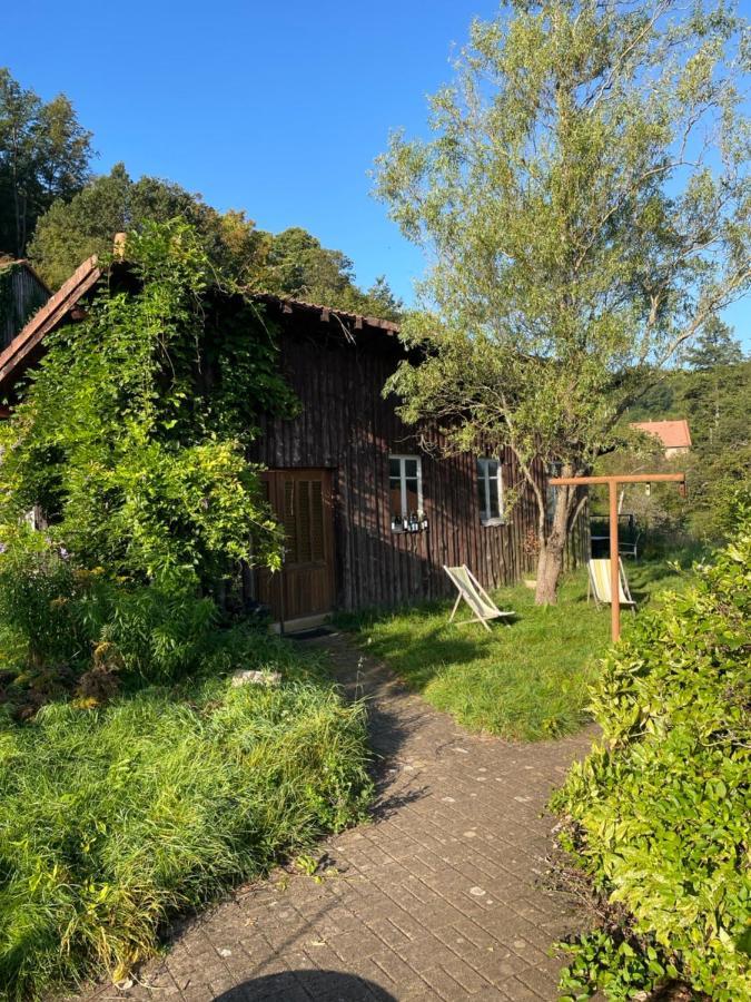 Mon Refuge En Vasgovie Apartman Meisenthal Kültér fotó